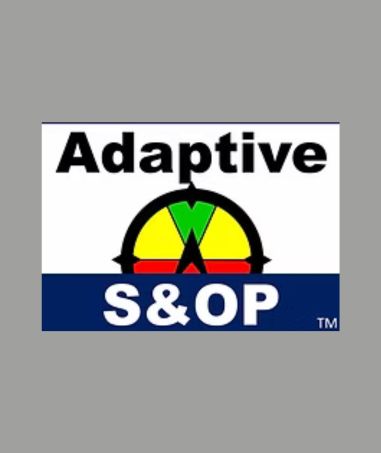 THE ADAPTIVE S&OP WORKSHOP